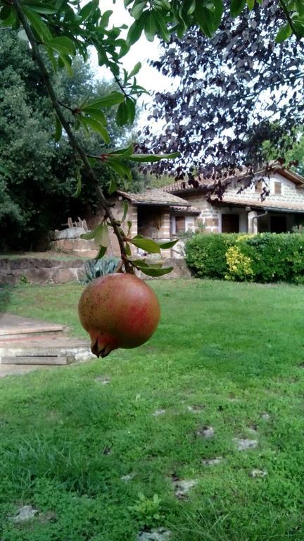 Agriturismo Casale Loreto Corchiano Exterior foto